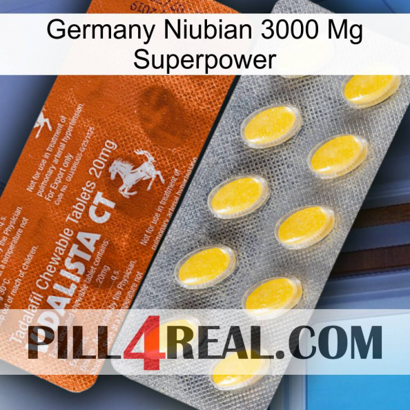 Germany Niubian 3000 Mg Superpower 42.jpg